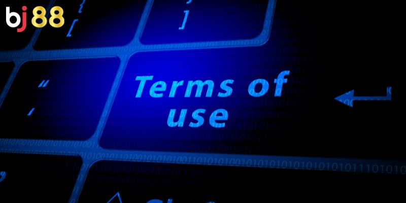 Các mục chính thường gặp trong điều khoản cá cược